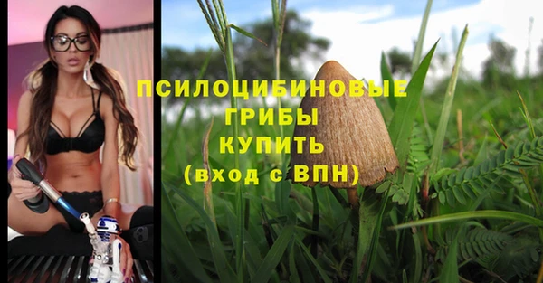 а пвп мука Магас