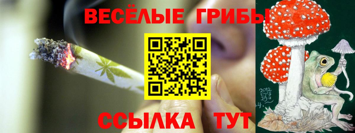 Топки  Галлюциногенные грибы Cubensis  наркотики  Вход с VPN  Галлюциногенные грибы Psilocybe 